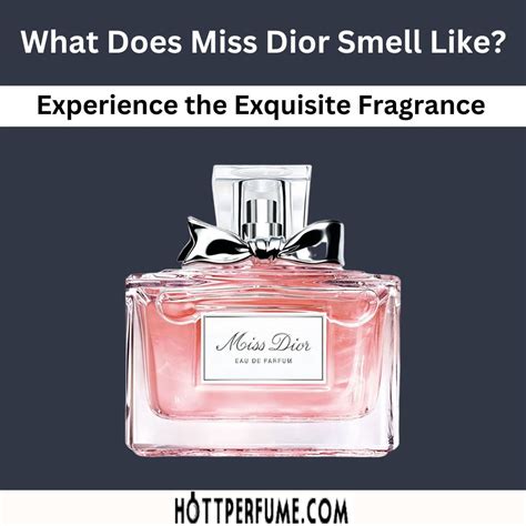 best fragrance by dior|what does miss dior perfume smell like.